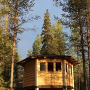 20 paviljonki